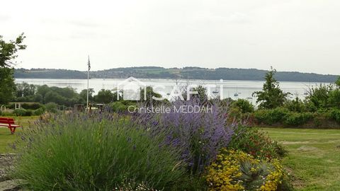 photo no. 15