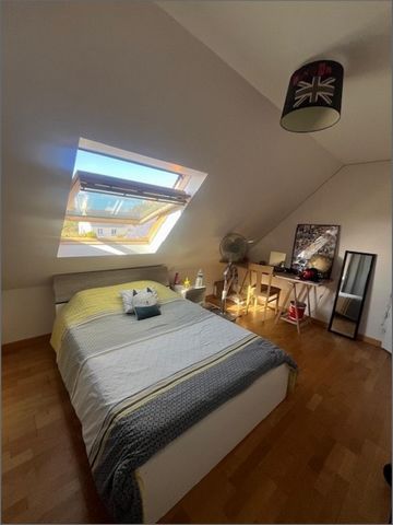 photo no. 7