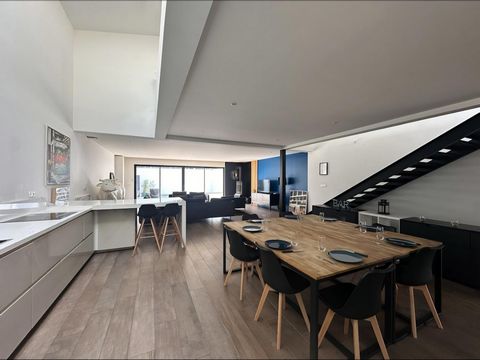 photo no. 15