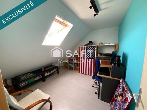 photo no. 8