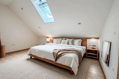 photo no. 12