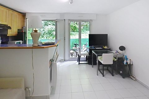 photo no. 3