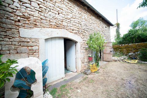 photo no. 15