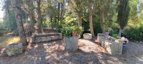 photo no. 25