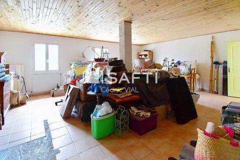 photo no. 9