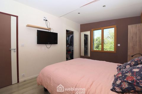 photo no. 12