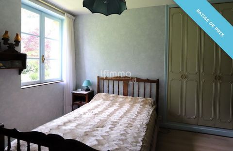 photo no. 6