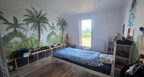 photo no. 8
