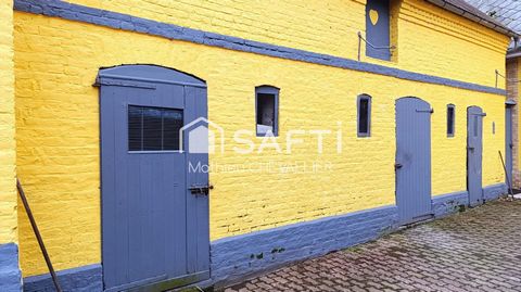 photo no. 4