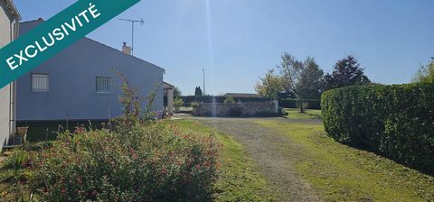 photo no. 12