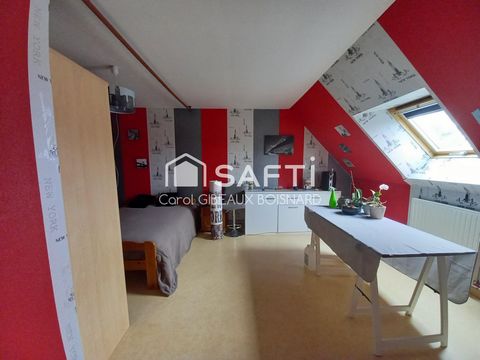 photo no. 11