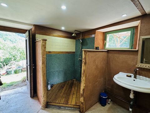 photo no. 12