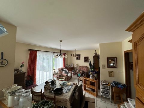 photo no. 5