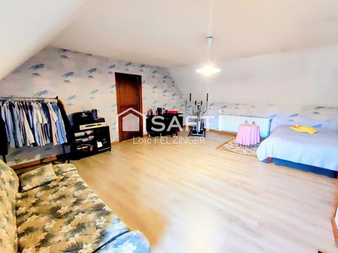 photo no. 11