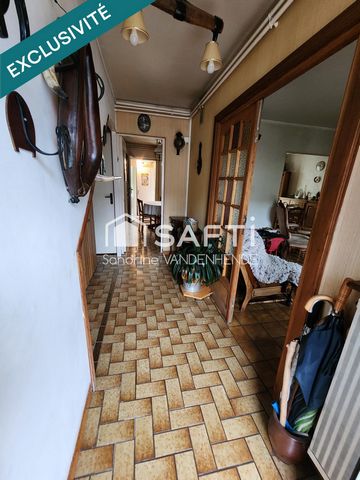 photo no. 5
