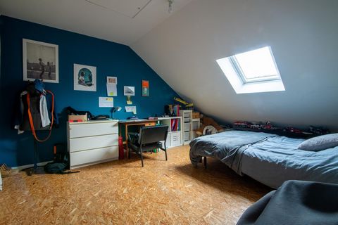 photo no. 7