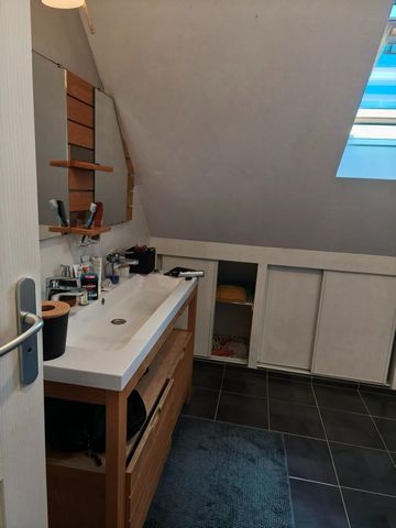 photo no. 11
