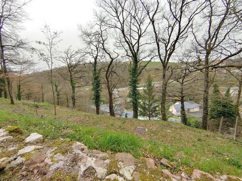 photo no. 10