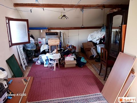 photo no. 10