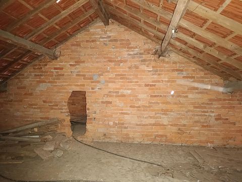 photo no. 8