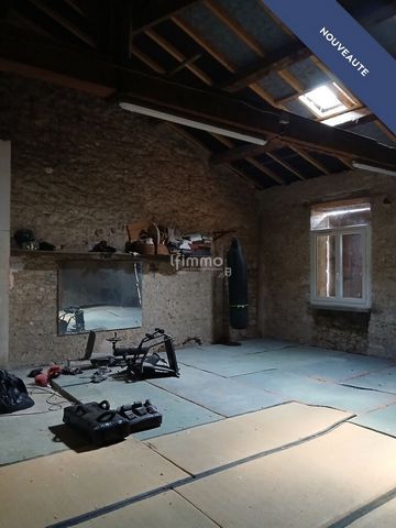 photo no. 10