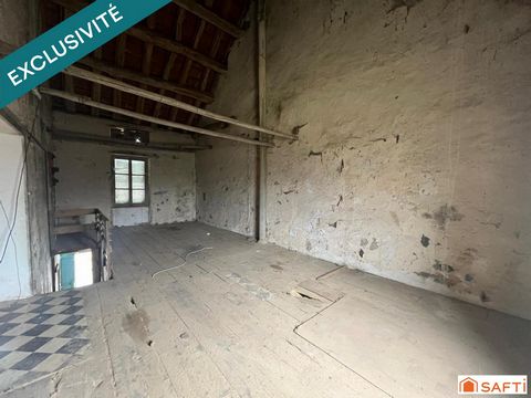 photo no. 11