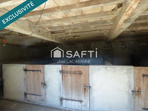 photo no. 15