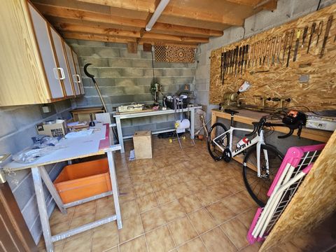 photo no. 19