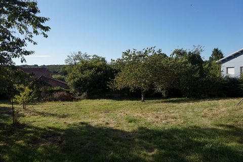 photo no. 3