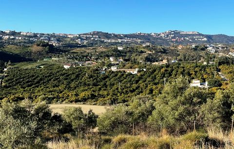 Avocado Finca: Outstanding well producing avocado farm with main villa, guest house and porter house only 10 minutes´ drive from the beach in Mijas Costa. The 112.493 m2 land hosts a flat, mature, subtropical garden with huge private pool, approx. 77...