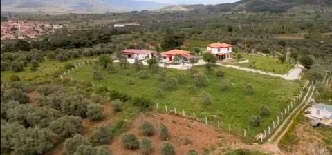 Gökçealan village is 18 km away from Kuşadası and is a residential area that makes a difference with its nature and clean air. Our farm is built in modern style. It has an area of 9000 m2.It is surrounded by a well-groomed wall with 110 Fruit trees a...