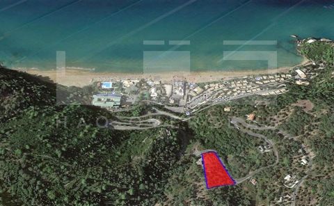 Terrain parfait à vendre à Corfou avec un grand potentiel. Il est idéalement situé entouré d’oliviers et à distance de marche de la plage. Le terrain de 5 080 m² à Glyfada, Corfou a une vue imprenable sur la mer et à seulement 400 m d’une belle plage...
