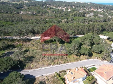 2 Plots for construction in Pérola da Lagoa, Óbidos. With a land area of 955sq.M, construction area of 464sq.M and implantation of 324sq.M. Well located, in a residential area, close to the beach and Óbidos Lagoon and the Silver Coast golf courses. E...