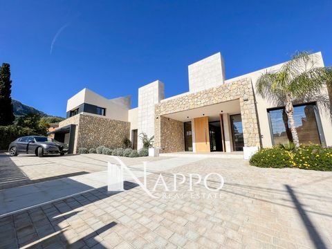 Nappo Real Estate presents this modern and luxurious new built villa in 