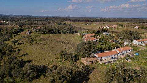Moita property with 29.5 ha (295 000 m2) with a ruin of 47 m2. Partially flat land with arable cultivation and slightly undulating with cork oak forests. Good access on a tarmac road. Close to the rural area of Moita Velha. Feasibility of constructio...