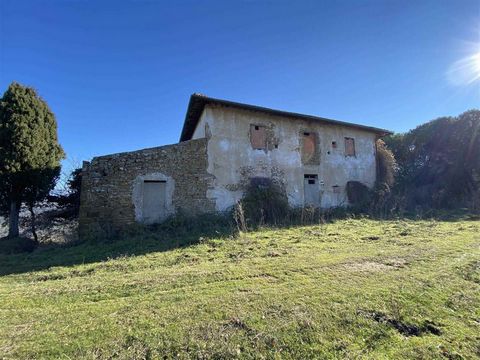 GREVE IN CHIANTI (FI), nearby: Agricultural estate of approximately 9 hectares with farmhouse, consisting of: 1.5 hectares of Chianti Classico DOCG vineyard; 2.5 hectares of olive grove with Leccino and Moraiolo varieties; 5 hectares of coppice woodl...