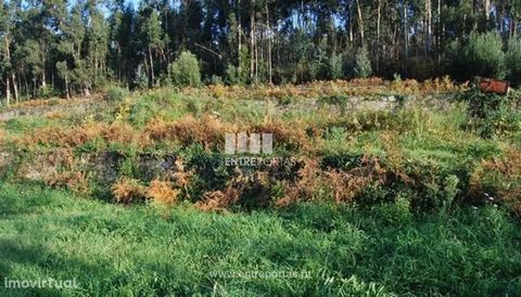Land with 5000m2 for construction. Quiet area. Ref.: C00325 ENTREPORTAS Founded in 2004, the ENTREPORTAS group with more than 15 years, is a leader in real estate mediation in the markets in which it operates, offering a quality and innovative servic...