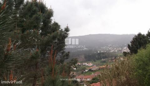 Land with 899m2 for construction for sale in Venade, Caminha. Excellent sun exposure Panoramic views Good access Ref.: C01265 ENTREPORTAS Founded in 2004, the ENTREPORTAS group with more than 15 years, is a leader in real estate mediation in the mark...