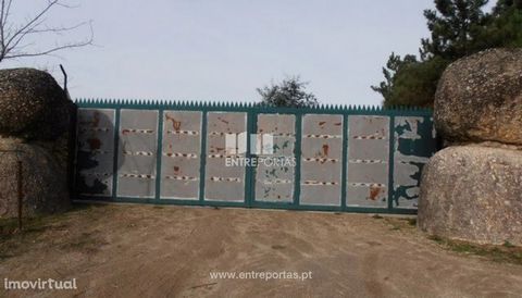 Land with an area of 22 250 m2 all fenced. Own water, good access and good sun exposure.. Situated in a quiet location. Ref.:MC04198. FEATURES: Land Area: 22 250 m2 Area: 22 250 m2 Useful Area: 22 250 m2 Energy Efficiency: Exempt ENTREPORTAS Founded ...