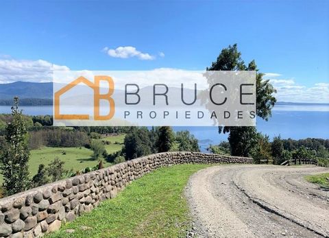 Beautiful plot of 2.5 hectares for sale with the shore of Lake Rupanco on the north shore. The property is located in an exclusive condominium in the Pulelfu sector, Puyehue commune. Distance of 26 kilometers from Entre Lagos and 78 kilometers from O...