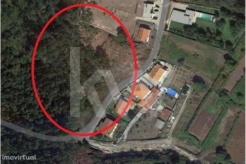 This land located in Loivo, Vila Nova de Cerveira, is located on one of the most sought after slopes of Vila Nova de Cerveira, not only because of the tranquility of the area, but also because it is one step from the county seat. This land, according...