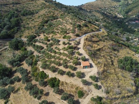 Montecorice (SA), San Donato locality, about 3.5 km from the town center of Montecorice and about 6 km from the sea of San Nicola, we offer for sale 2 (two) rural buildings, one of about 63 square meters built entirely in Cilento stone used as a stor...