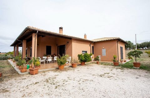 On the hills of the Maremma Laziale, in Casal Nuovo, we offer for sale a single-family villa of 150 m2 on one level, with a 3-hectare olive grove. The property is immersed in uncontaminated nature, where the only noise to break the silence is the chi...