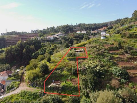 Do you value tranquility and connection to nature? Incredible land located in Santa Cruz. With a generous area of 590m2, it offers the perfect space to build your dream home or invest in a promising project. The privileged location provides stunning ...