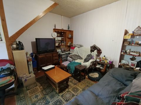 photo no. 9