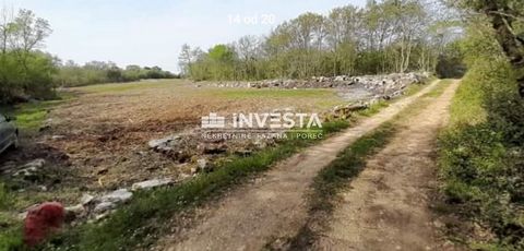   Rovinj, agricultural land 10038 m2   Agricultural land for sale near Rovinj in the village of Sanprutti, Limski kanal, with an area of 10038 m2, only 200 m from the sea. In the immediate vicinity of the land, there are a few houses, and the communa...