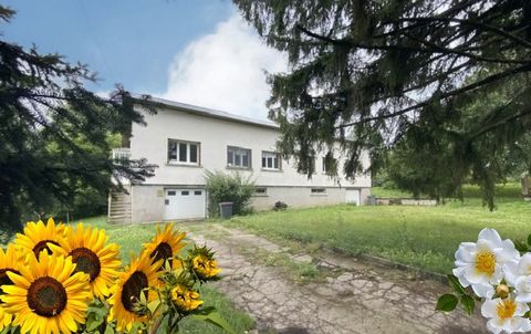 Dpt Vosges (88), à vendre proche EPINAL MAISON P6 avec 2 garages et caves / TERRAIN de 1603 m2