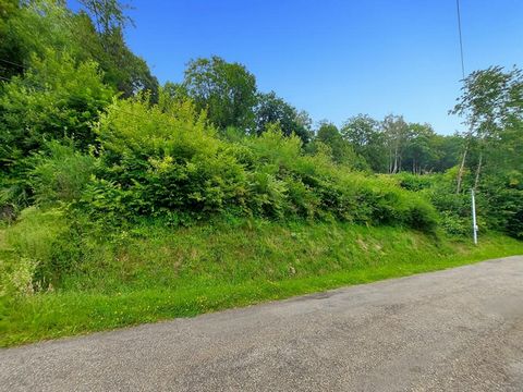 Dans la Vallée de Saint-Amarin à Fellering, 68470, je vous invite à découvrir en exclusivité cette belle parcelle de 20 ares, située en hauteur du village. Édifiez votre futur chez vous sur ce terrain de montagne, ensoleillé et sans vis-à vis. Vous p...