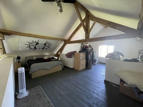 photo no. 10
