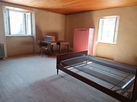 photo no. 12